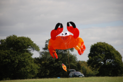 Harewood2007-029
