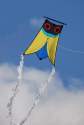 3j