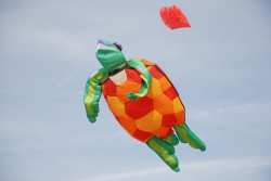 Margate2010-003