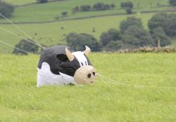 Nidderdale2012-017