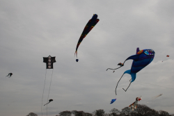 Roundhay2008-013
