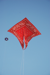 Scheveningen2009-062