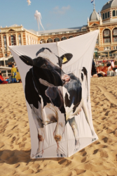 Scheveningen2009-066