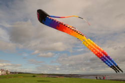 WhitleyBay2011-001