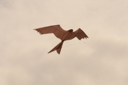 WhitleyBay2011-008