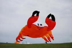 WhitleyBay2011-053