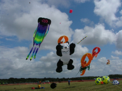 Woodvale2005-003