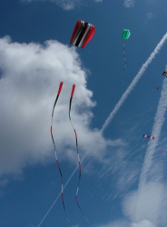 Woodvale2005-012
