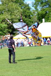 Bedford2015-023