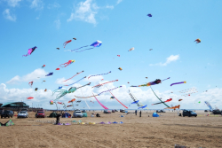 StAnnes2015-018