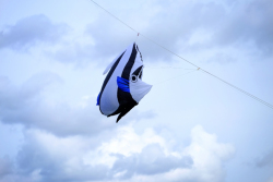 MiddletonPark2015-008
