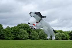 MiddletonPark2016-005
