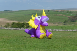 Birdoswald2016-024