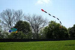 Birdoswald2016-041