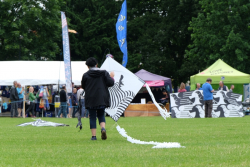 Bedford2016-085