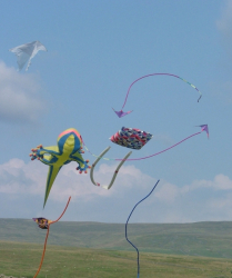 HighForce2004-014