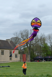 Bolsover2017-006