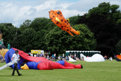 Bedford2017-057