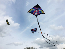 Bolsover2018-008