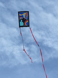 Bolsover2018-056
