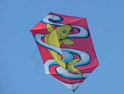Bristol2004-048