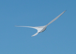 Bristol2004-063