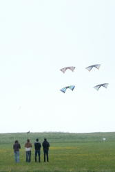 Scarborough2018-128