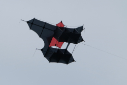 Bedford2018-077