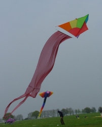 Beverley2005-010