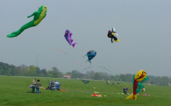 Beverley2005-019