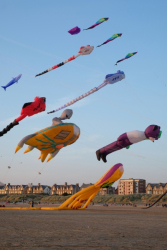 StAnnes2018-019