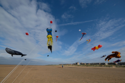 StAnnes2018-039