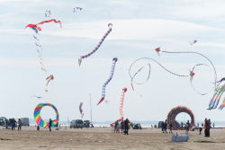 StAnnes2018-047
