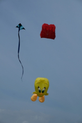 Scarborough2019-003