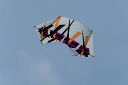 Scarborough2019-016