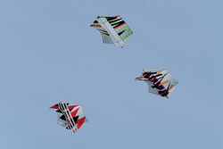Scarborough2019-024
