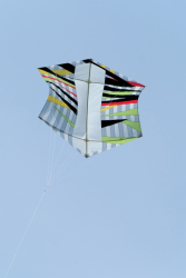 Scarborough2019-027