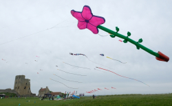 Scarborough2019-038