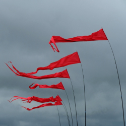 Scarborough2019-050