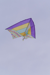 Bedford2019-012