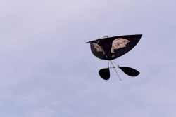 Bedford2019-031