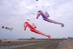 Morecambe2019-034