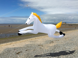 Morecambe2019-039