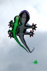 CountryfileLive2019-006