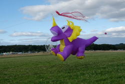 CountryfileLive2019-022
