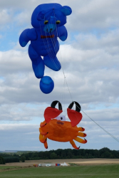CountryfileLive2019-023