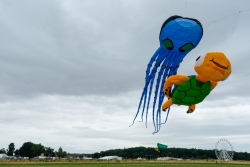 CountryfileLive2019-025