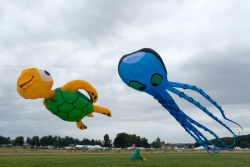 CountryfileLive2019-026