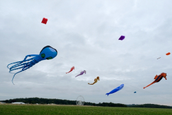 CountryfileLive2019-037