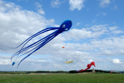 CountryfileLive2019-061